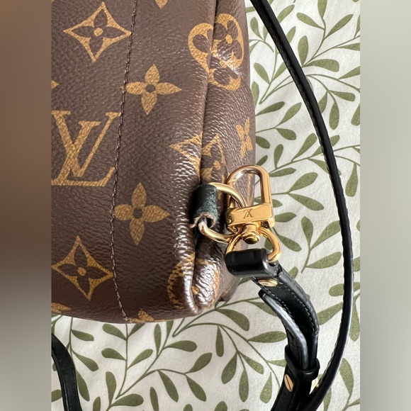 Louis Vuitton Palm Springs Mini - Picture 8 of 12